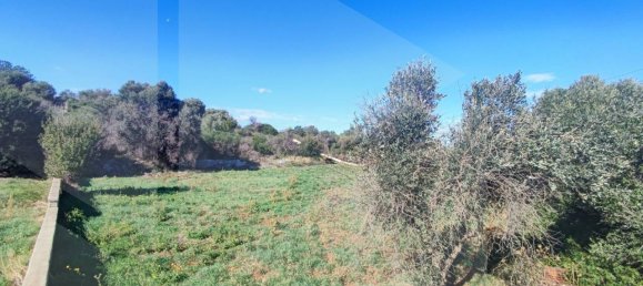 9965m² Land in Polignano a Mare, Italy No. 22206 5
