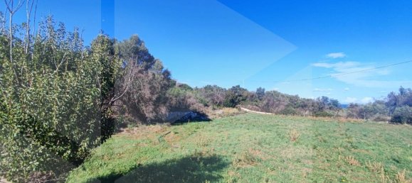 9965m² Land in Polignano a Mare, Italy No. 22206 4