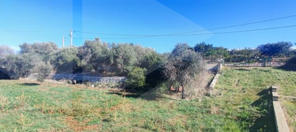 9965m² Land in Polignano a Mare, Italy No. 22206 10