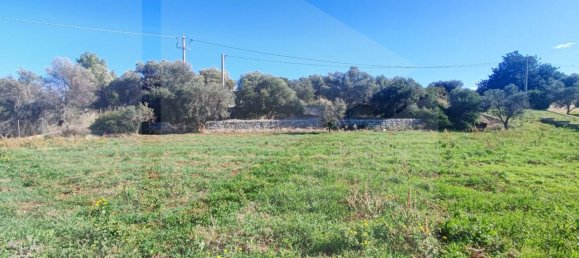 9965m² Land in Polignano a Mare, Italy No. 22206 8
