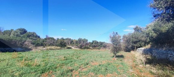 9965m² Land in Polignano a Mare, Italy No. 22206 7