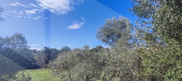 9965m² Land in Polignano a Mare, Italy No. 22206 12