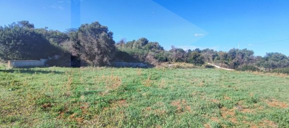 9965m² Land in Polignano a Mare, Italy No. 22206 6