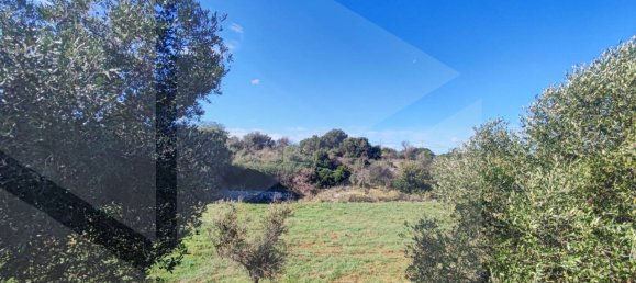 9965m² Land in Polignano a Mare, Italy No. 22206 11