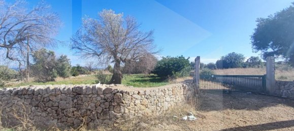 9965m² Land in Polignano a Mare, Italy No. 22206 13
