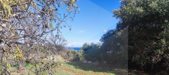 9965m² Land in Polignano a Mare, Italy No. 22206 19