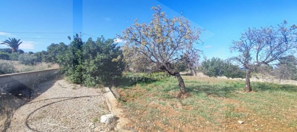 9965m² Land in Polignano a Mare, Italy No. 22206 21