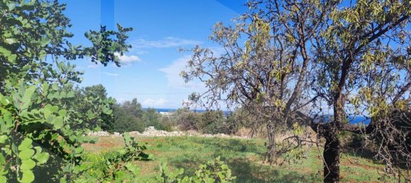 9965m² Land in Polignano a Mare, Italy No. 22206 18