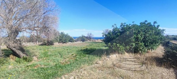 9965m² Land in Polignano a Mare, Italy No. 22206 14