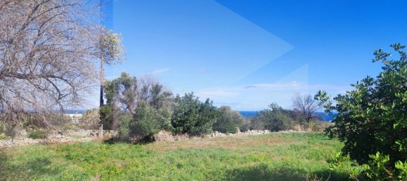 9965m² Land in Polignano a Mare, Italy No. 22206 16