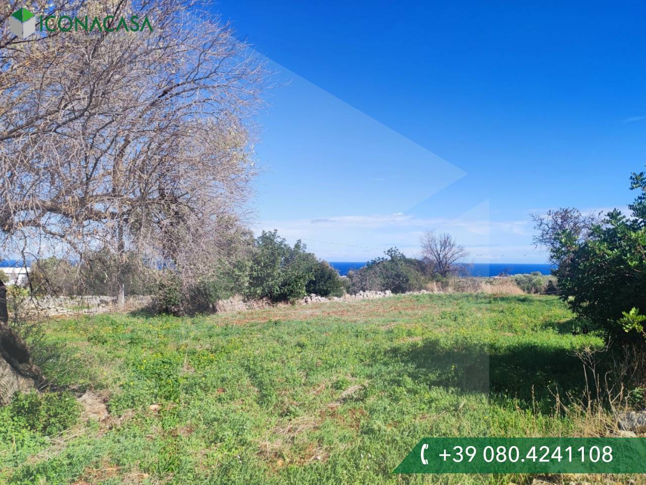 9965m² Land in Polignano a Mare, Italy No. 22206