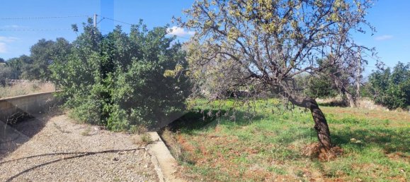 9965m² Land in Polignano a Mare, Italy No. 22206 20