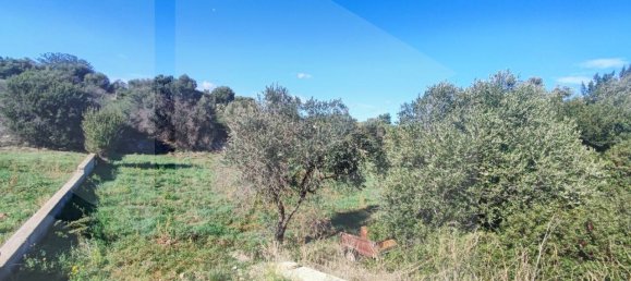 9965m² Land in Polignano a Mare, Italy No. 22206 3