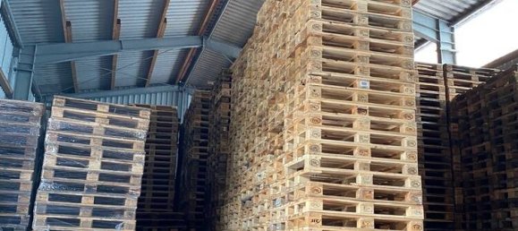 Entrepôt à Steinburg, Germany 249m² No. 57227 3