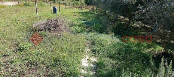 16غرفة منزل في Arpino, Italy رقم 26202 7