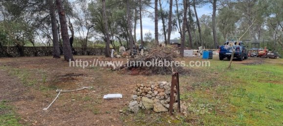 Terrain à Mallorca, Spain 3400m² No. 79774 3