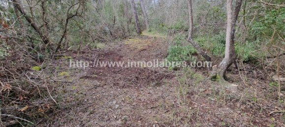 Terrain à Mallorca, Spain 3400m² No. 79774 18