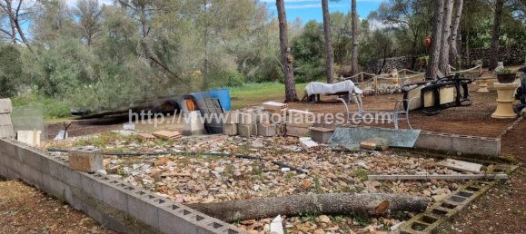 Terrain à Mallorca, Spain 3400m² No. 79774 10