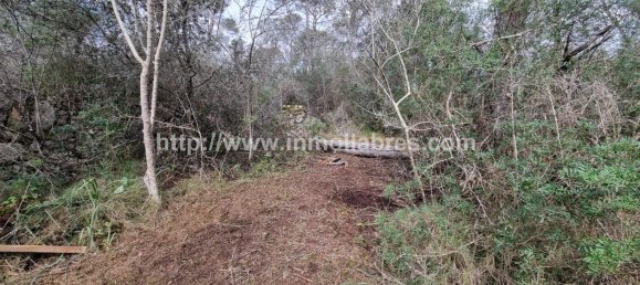 Terrain à Mallorca, Spain 3400m² No. 79774 17