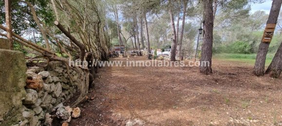 Terrain à Mallorca, Spain 3400m² No. 79774 4