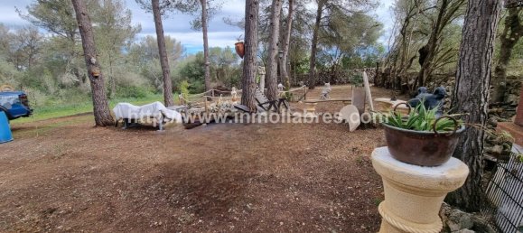 Terrain à Mallorca, Spain 3400m² No. 79774 15