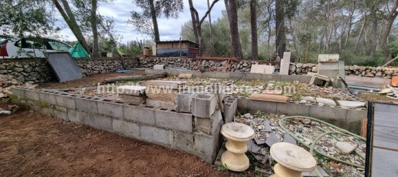 Terrain à Mallorca, Spain 3400m² No. 79774 12