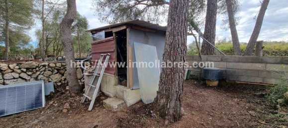 Terrain à Mallorca, Spain 3400m² No. 79774 14