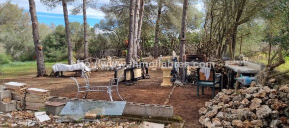 Terrain à Mallorca, Spain 3400m² No. 79774 8