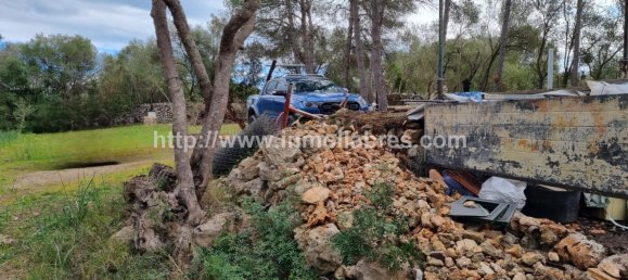 Terrain à Mallorca, Spain 3400m² No. 79774 7