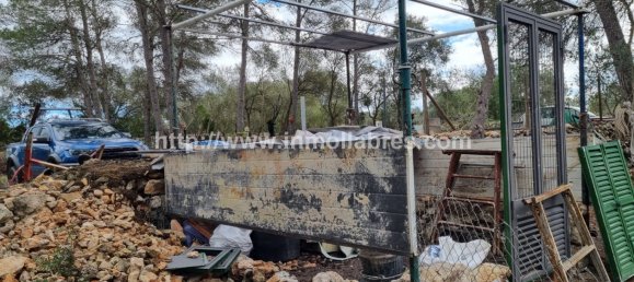 Terrain à Mallorca, Spain 3400m² No. 79774 9