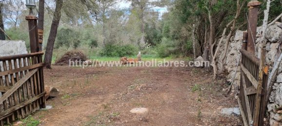 Terrain à Mallorca, Spain 3400m² No. 79774 2