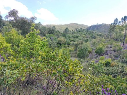 Terrain à Saboia, Portugal 38500m² No. 47872