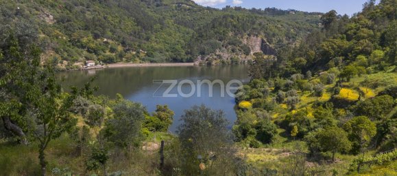 Terrain à Oliveira do Douro, Portugal 10050m² No. 82120 7