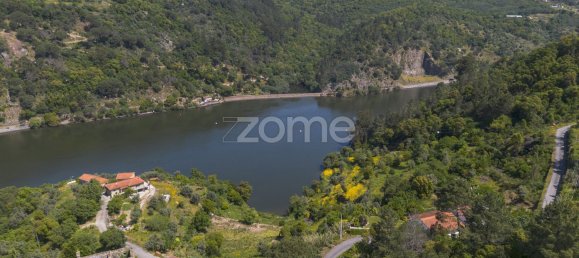 Terrain à Oliveira do Douro, Portugal 10050m² No. 82120 4