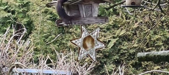 Villa de 7 habitaciónes en Puchenau, Austria No. 126942 8