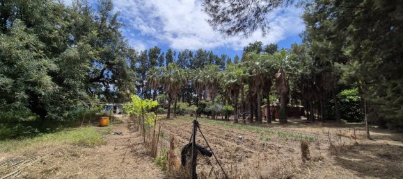 1 bedroom House in Estepona, Spain No. 134356 13