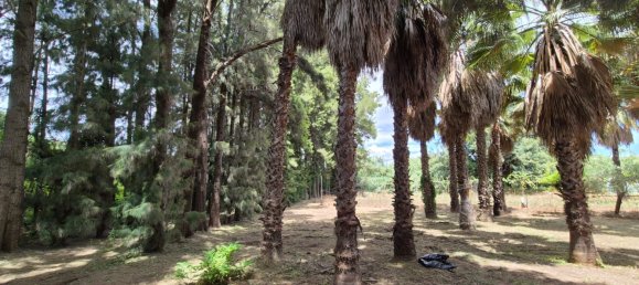 1 bedroom House in Estepona, Spain No. 134356 15