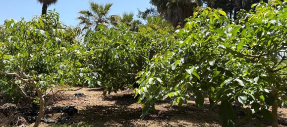 1 bedroom House in Estepona, Spain No. 134356 5