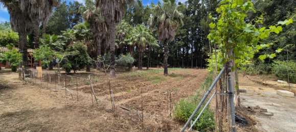 1 bedroom House in Estepona, Spain No. 134356 17