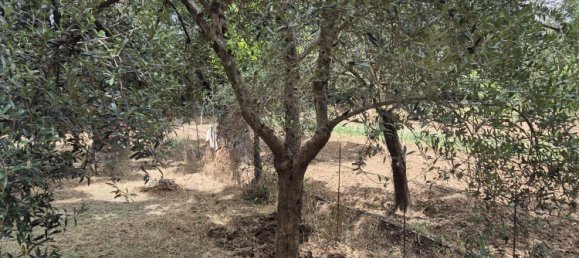 1 bedroom House in Estepona, Spain No. 134356 16