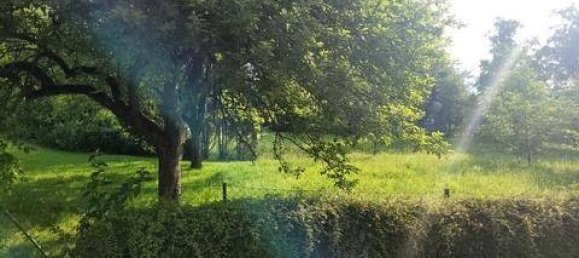 Studio à Steindorf am Ossiacher See, Austria No. 211219 12