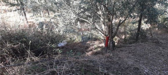 قطعة أرض في Serpins, Portugal 1659متر مربع رقم 97830 8