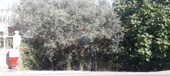 قطعة أرض في Serpins, Portugal 1659متر مربع رقم 97830 6