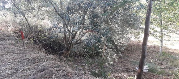 قطعة أرض في Serpins, Portugal 1659متر مربع رقم 97830 9