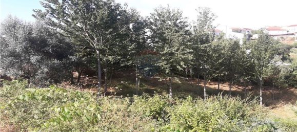 قطعة أرض في Serpins, Portugal 1659متر مربع رقم 97830 10