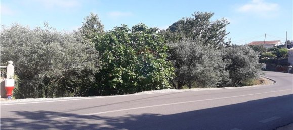 قطعة أرض في Serpins, Portugal 1659متر مربع رقم 97830 7