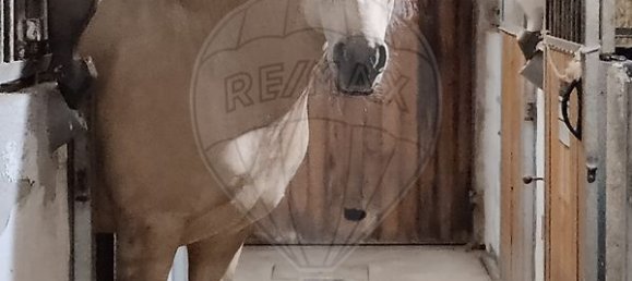 3 bedrooms House in Maia, Portugal No. 52499 11