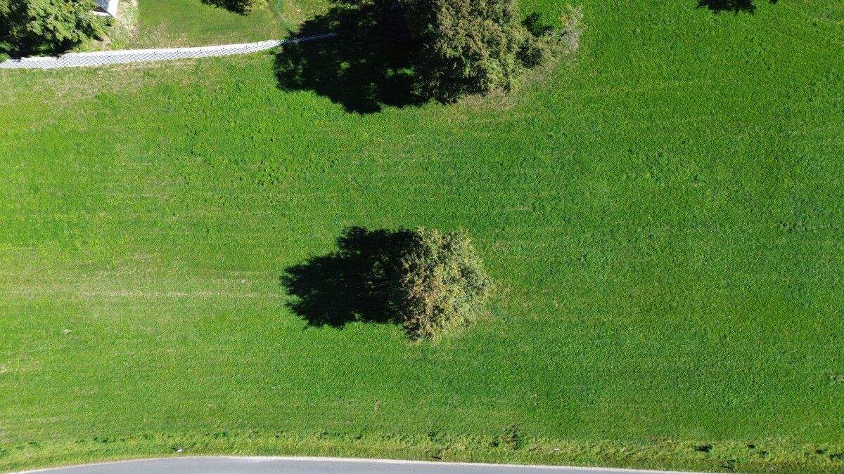  Land in Lower Austria, Austria No. 247571