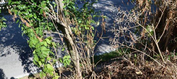 قطعة أرض في Montesilvano, Italy 1872متر مربع رقم 103512 17