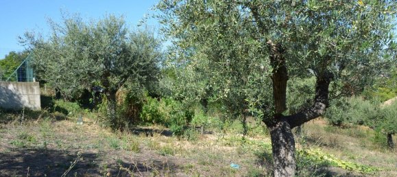 قطعة أرض في Montesilvano, Italy 1872متر مربع رقم 103512 6